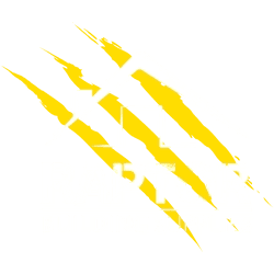 Raptor Building Supplies logo